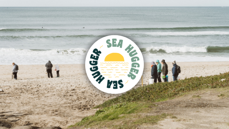 C365 Website Listings Images Sea Hugger 1 768x432