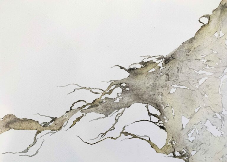 Christina Conklin Aether 2022 ink on paper 14x10 inches 768x547