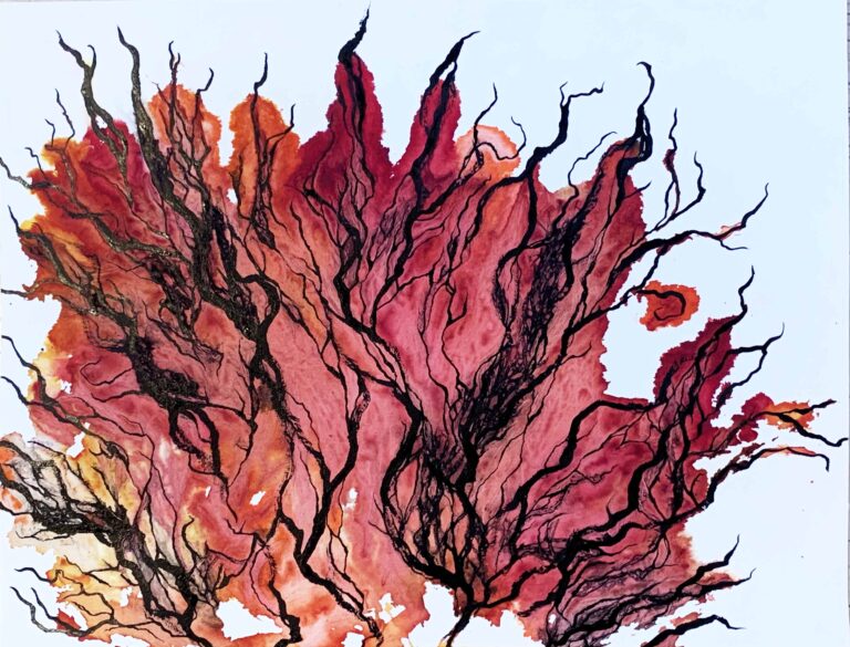 Christina Conklin Flare 1 2022 ink on paper 17x13 inches 1 768x585