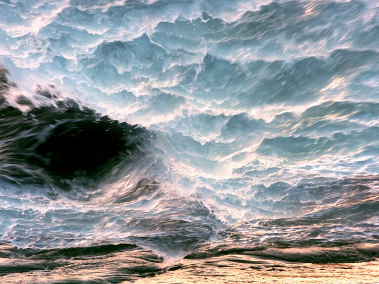 Tabitha Soren Whip of a Whirlwind 2018 1 768x576