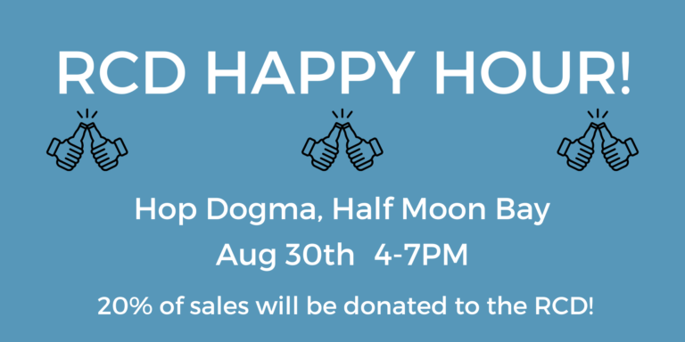 RCD Happy HOur 768x384
