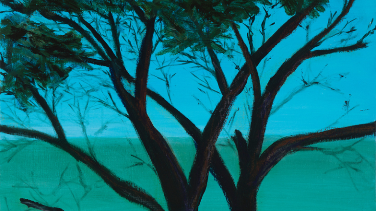 Donna Fenstermaker 2 768x432