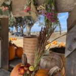 0F0AEDC8 9888 458A BE3B A3BD487C328C 1 105 c 150x150