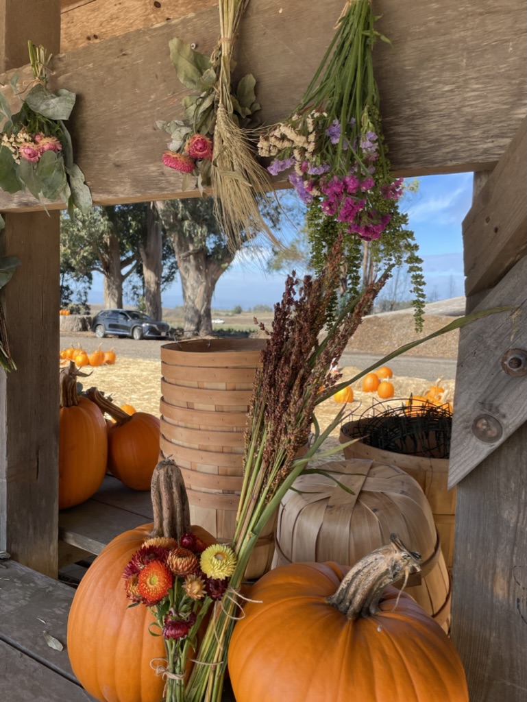 0F0AEDC8 9888 458A BE3B A3BD487C328C 1 105 c