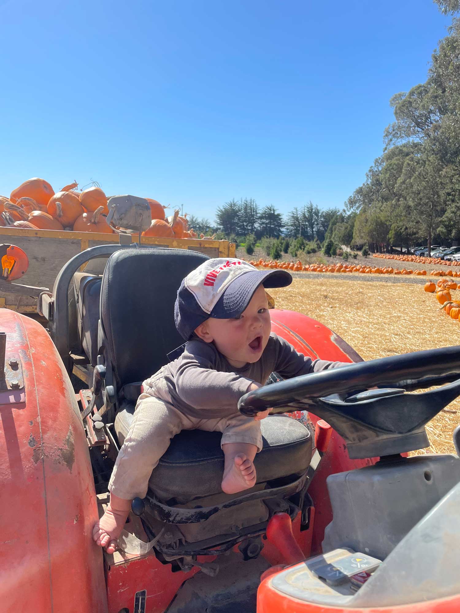 4. Aden Driving Tractor Fall Fest web