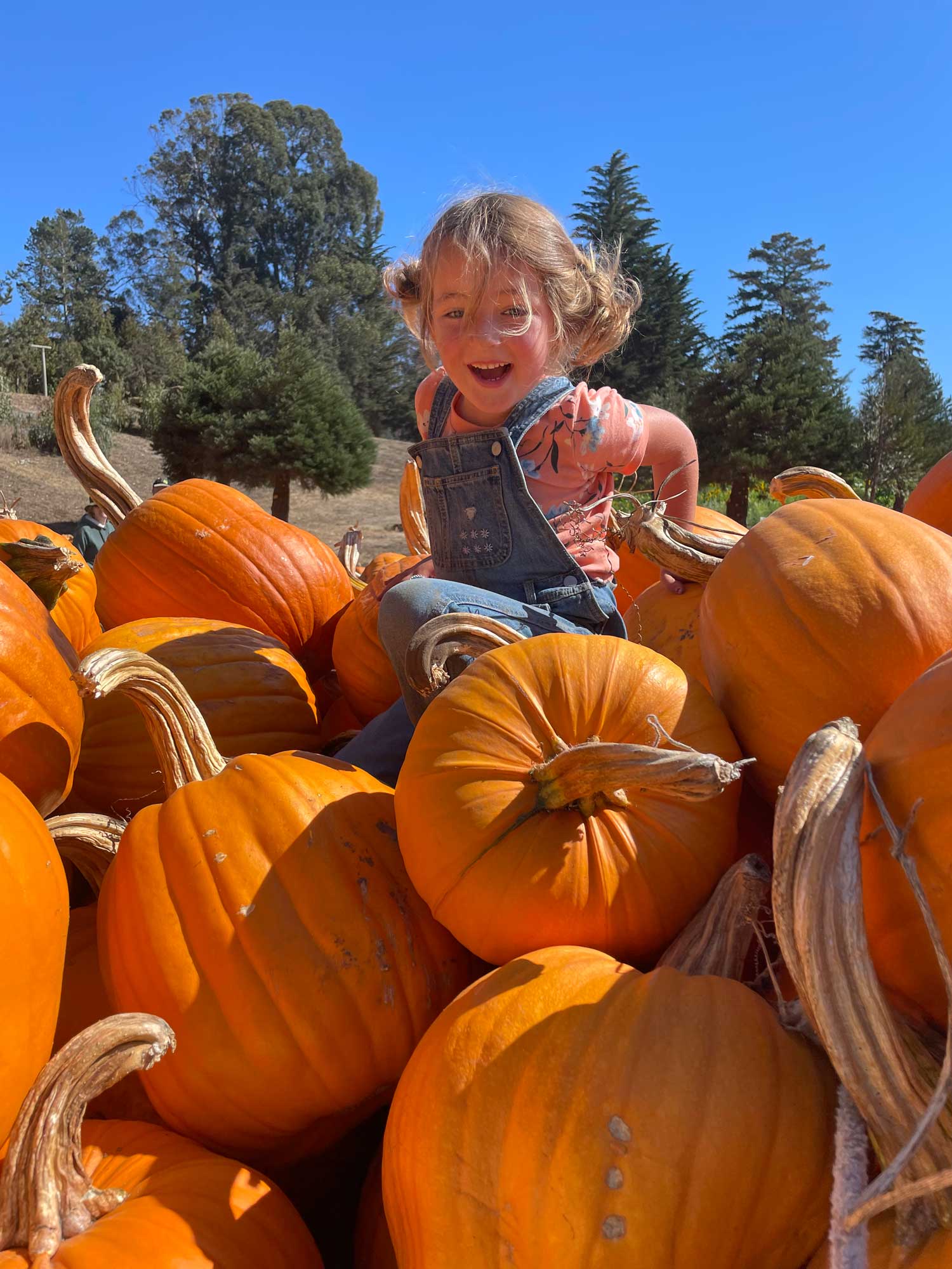 9. Greta playing with her new friends web
