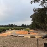 Farm View fall fest 2023 150x150