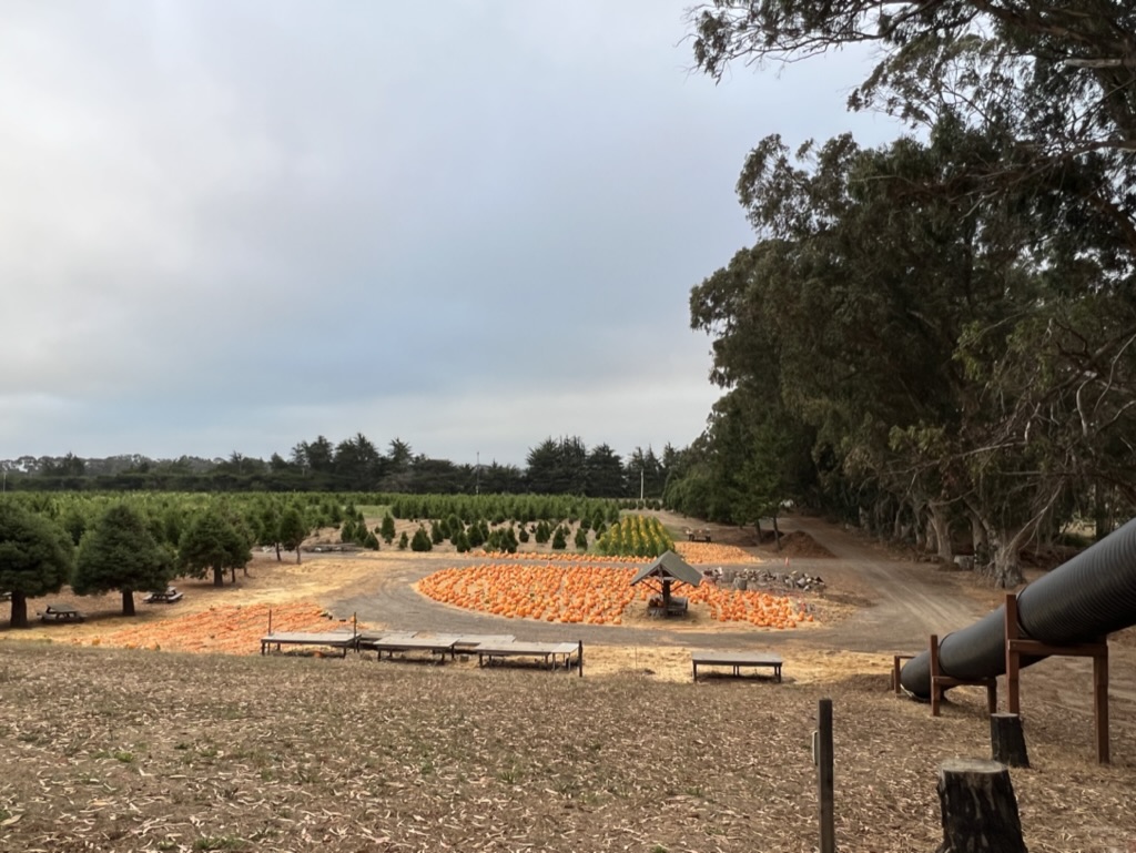 Farm View fall fest 2023