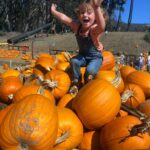 Greta Pumpkins Fall Fest web 150x150