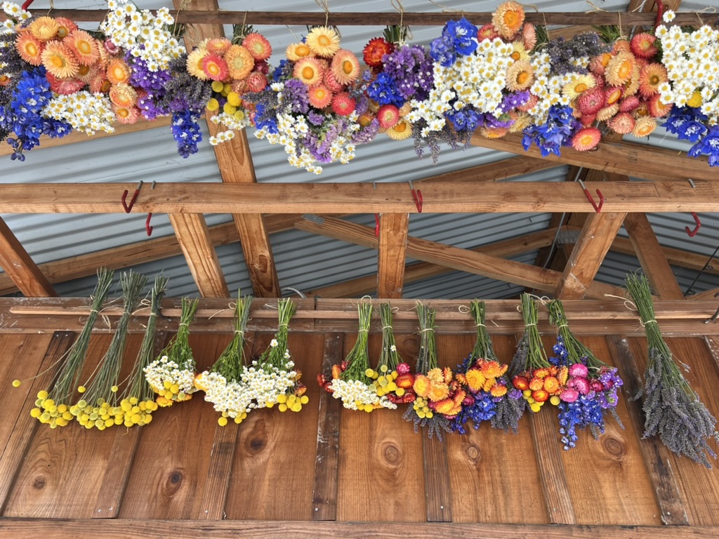 Hanging dried flowers for fall fest