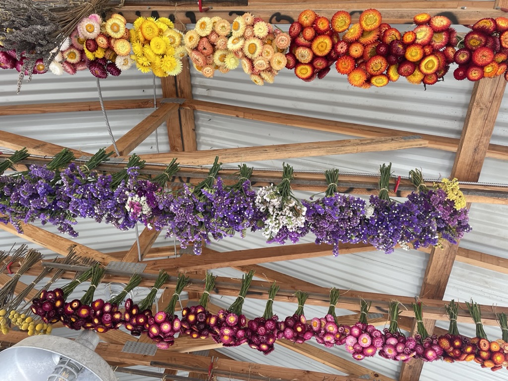 Hanging fall flowers fall fest 2024