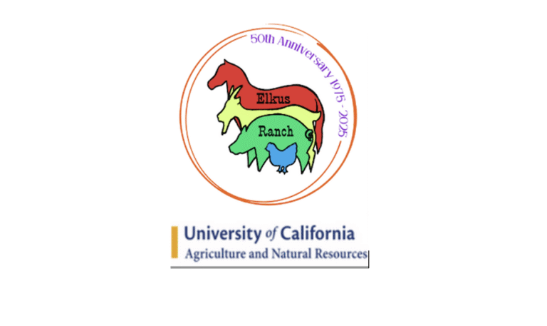 Logo 1 768x457