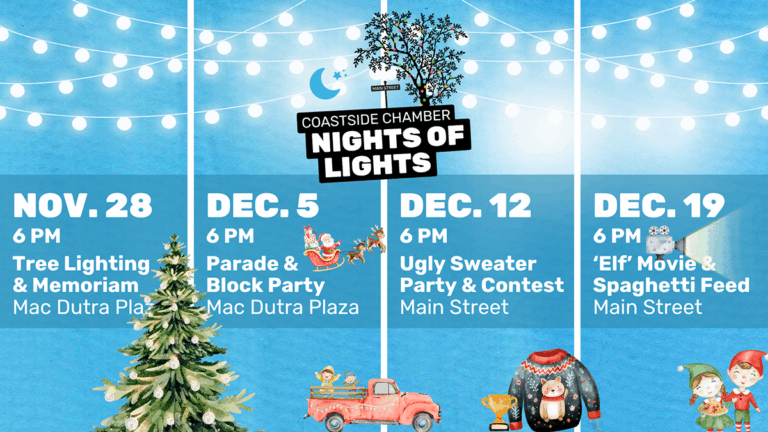 Nights of Lights Web 2025 768x432