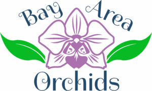 Logo.png 300x181
