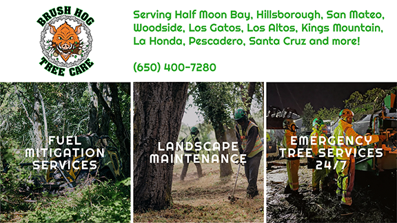 Brush Hog Web Listing