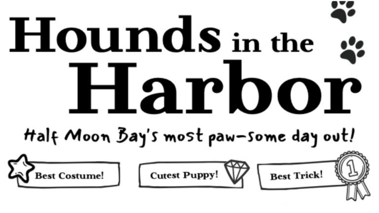 Hounds in the Harbor 768x432
