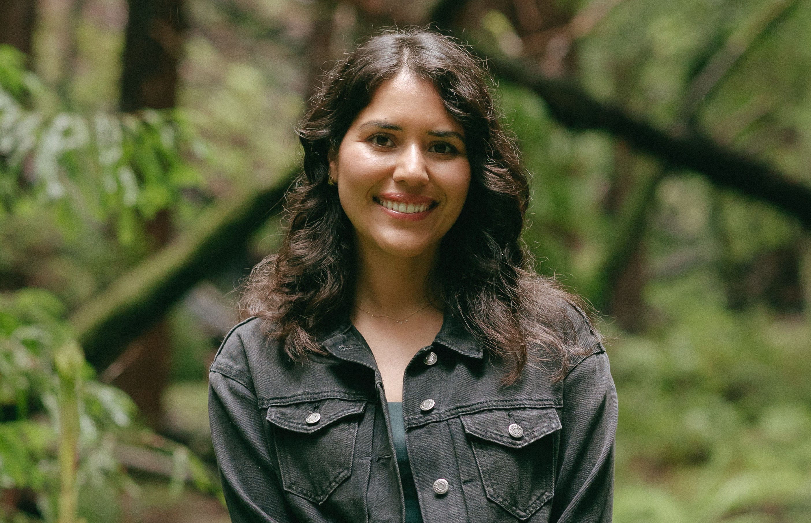 imuri redwood portraits 6 1 1