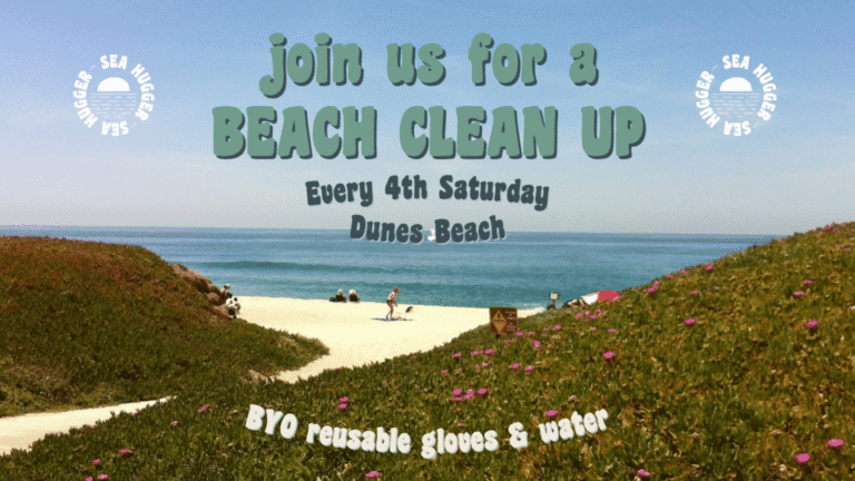 Dunes Beach Clean Up 1600 x 900 px 1 1536x864 1 768x432