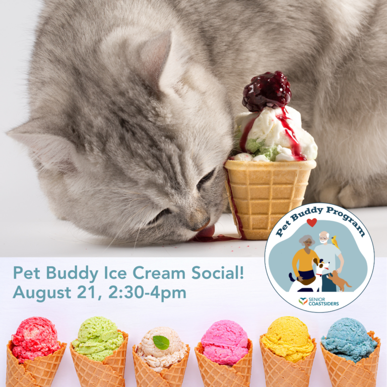 Pet Buddy Ice Cream Social Post 4 IG 768x768